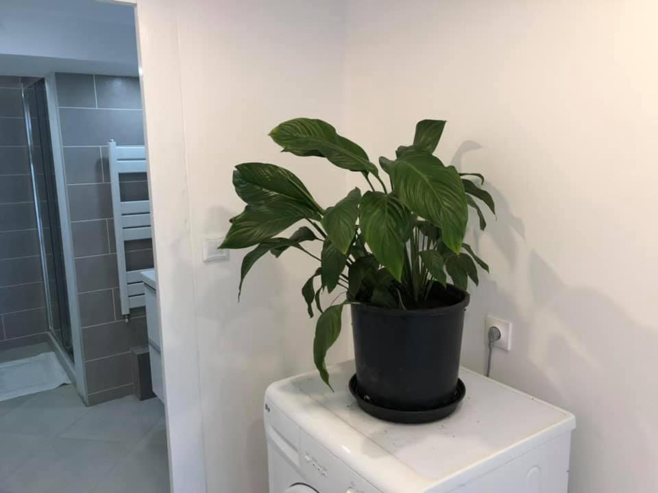 Les Terrasses D'Angouleme Bed & Breakfast Exterior foto